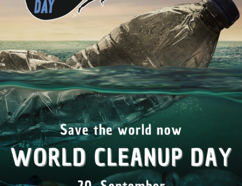 Geschützt: World Clean Up Day